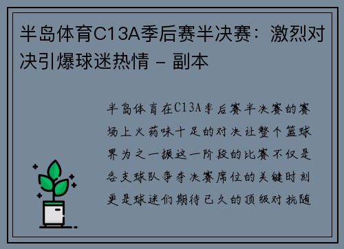 半岛体育C13A季后赛半决赛：激烈对决引爆球迷热情 - 副本